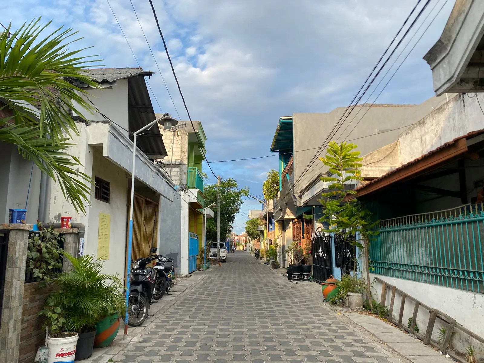 Panduan Praktis Mencampur Pakan Fermentasi untuk Ternak Sapi yang Sehat