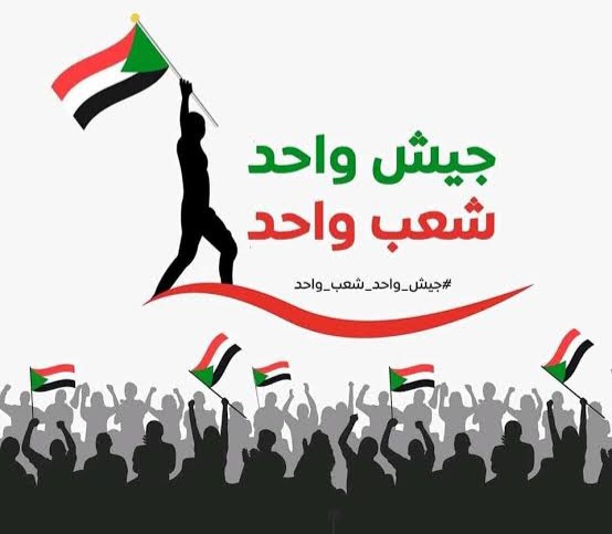 المقاومة الشعبية بسنار تكشف عن فظائع وإنتهاكات لمليشيا الدعم السريع