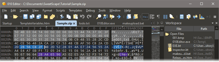 This free online hex editor allows you to edit, view, modify and analyze binary files. 010 Editor Pro Text Hex Editor Edit 200 Formats Fast Powerful Reverse Engineering