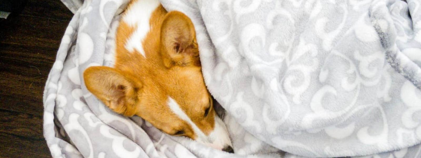 The Essentials Medicine to Carry When Traveling Abroad SYDE Road