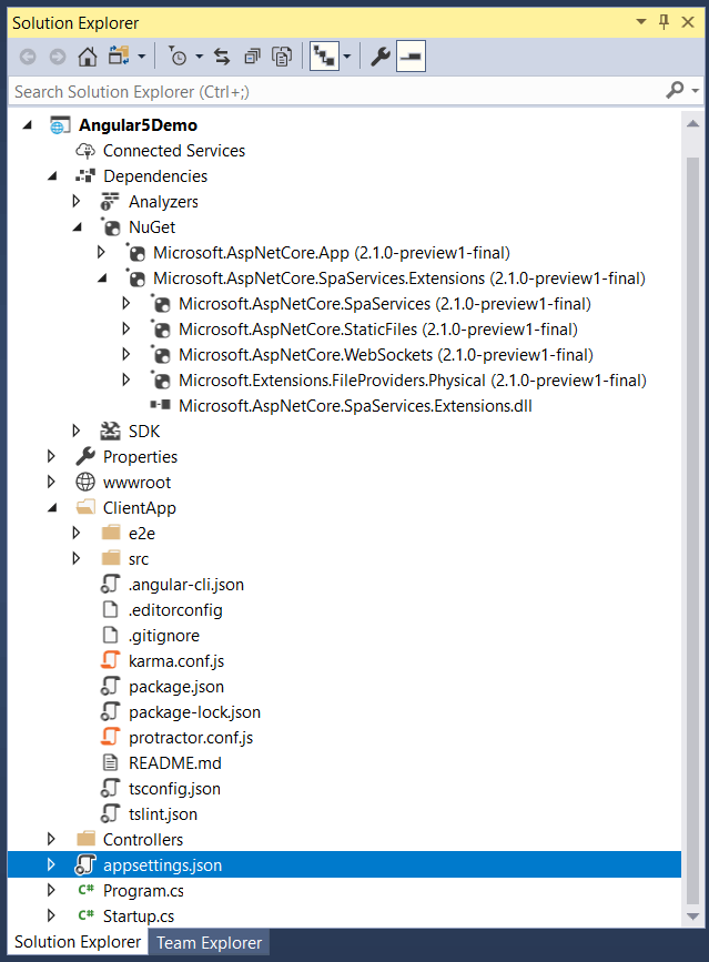 Angular 5 application structure in Visual Studio 2017