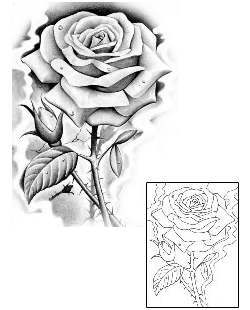 Symbolism In Rose Tattoos And Rose Tattoo Designs 310_x_250_jpg