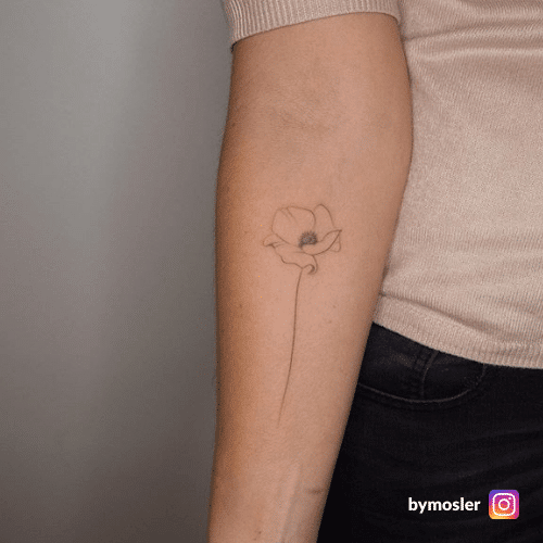 Il Significato Tatuaggio Del Papavero - Foto Ed Idee 500_x_500_png