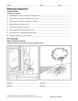 what is photosynthesis science printable grades 6 12 teachervision