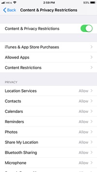 content and privacy restrictions