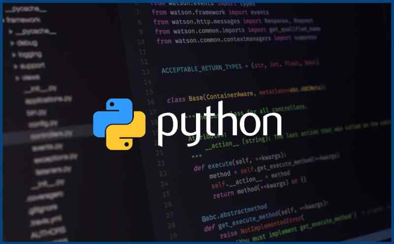 python cowboy net worth