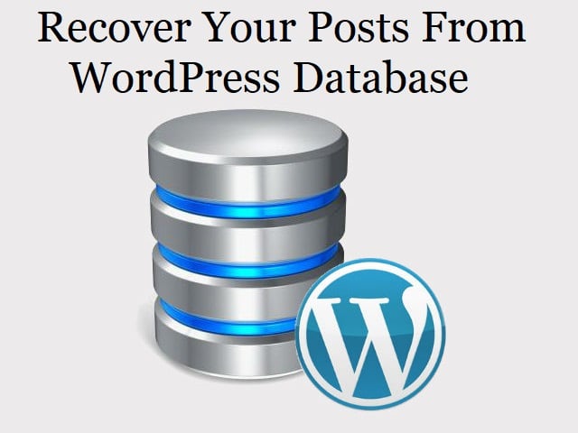 This is why you might need a searchable database plugin for . Best Ways to Recover All Your Posts from a WordPress Database