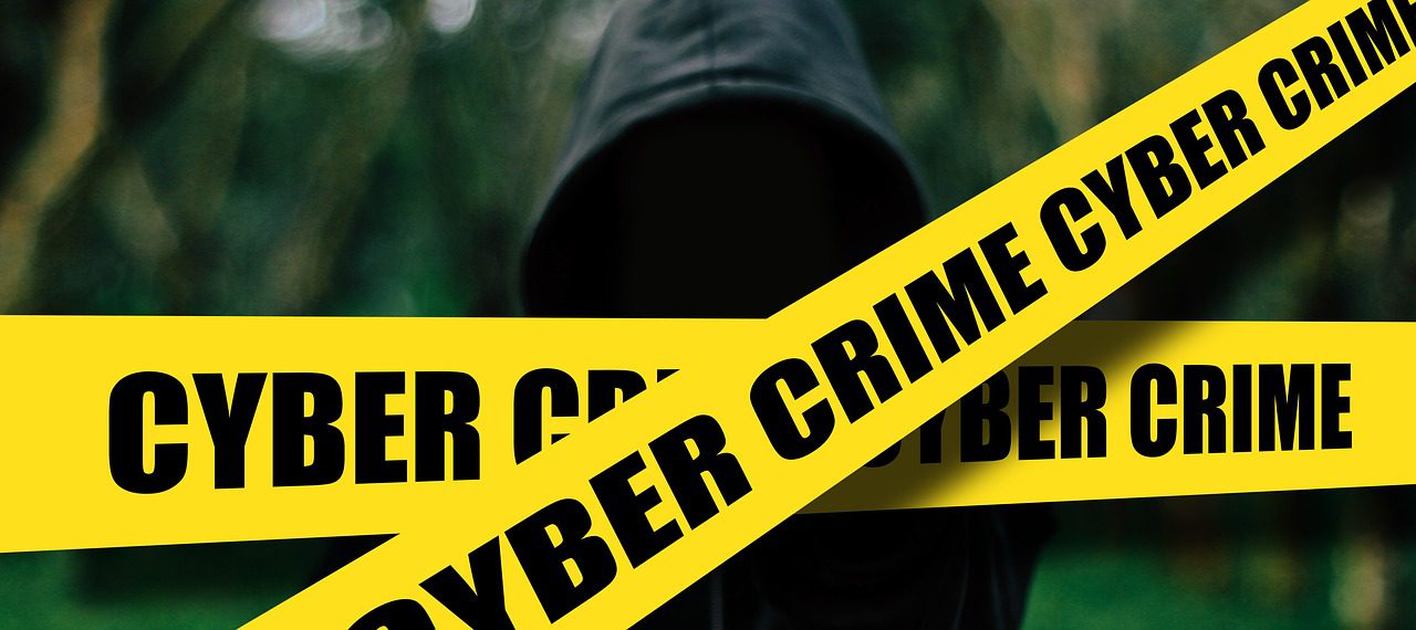 cyber crimes cyber crimes