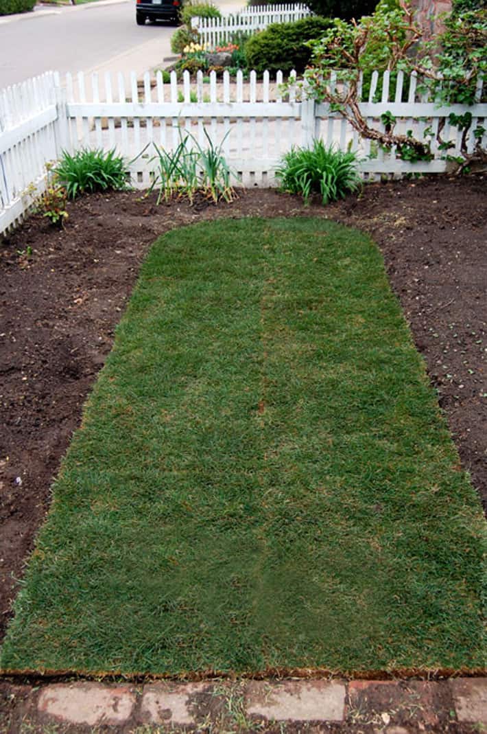 The best times to install sod are the early spring or early fall. How To Lay Sod At Home Laying Sod 101
