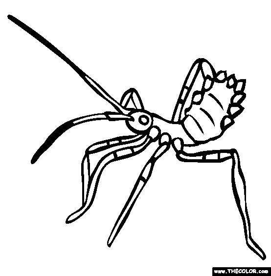 Nature is full of flying things, buzzing things and insects and bugs are some of those things. Insect Online Coloring Pages