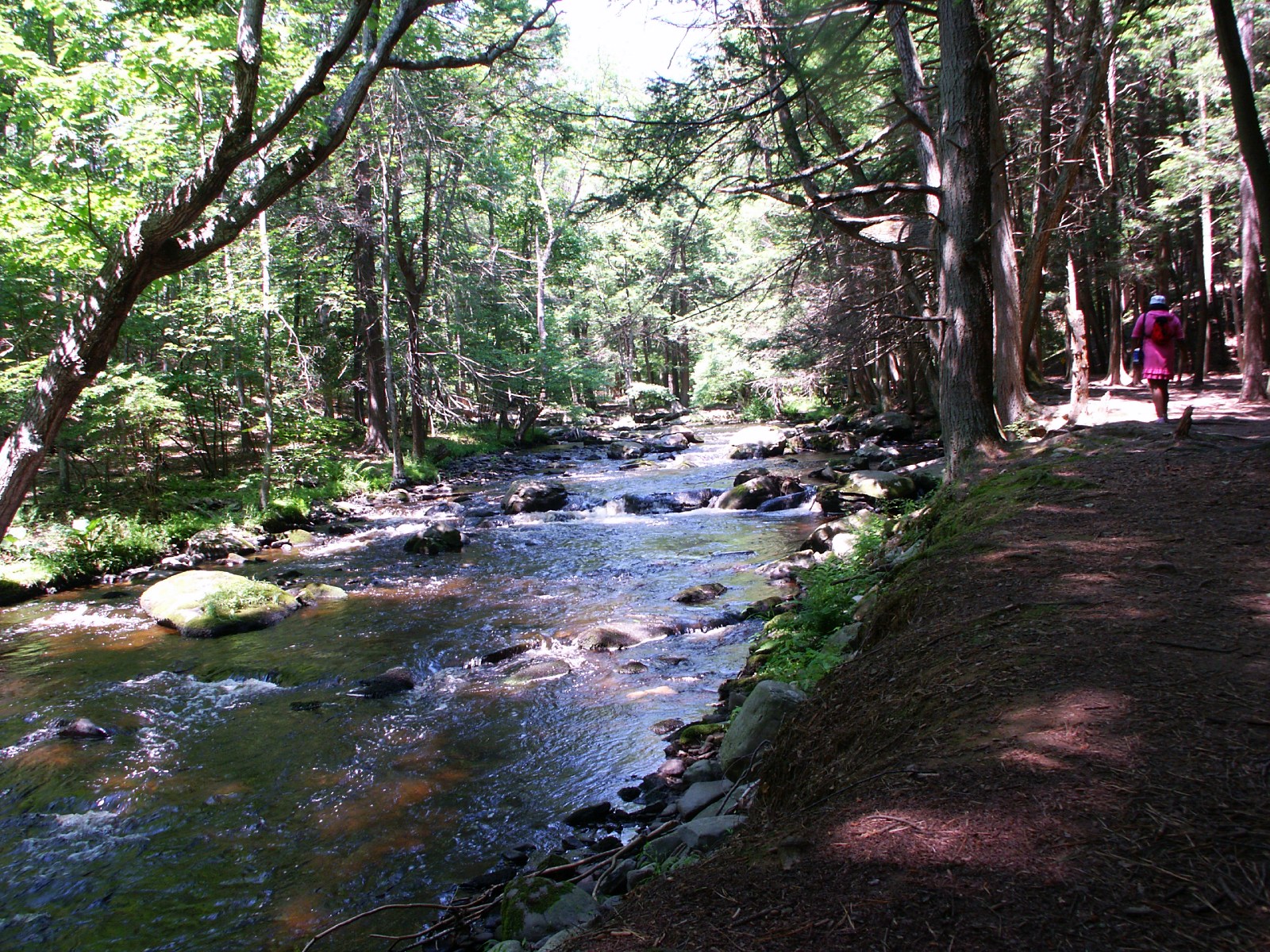 River through Bushkill Falls