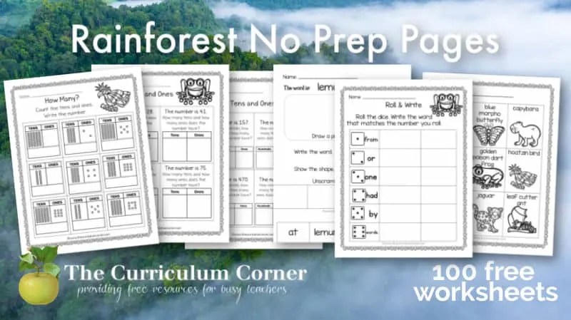 rainforest no prep pages the curriculum corner 123