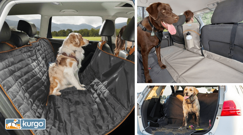 dog car travel solutions