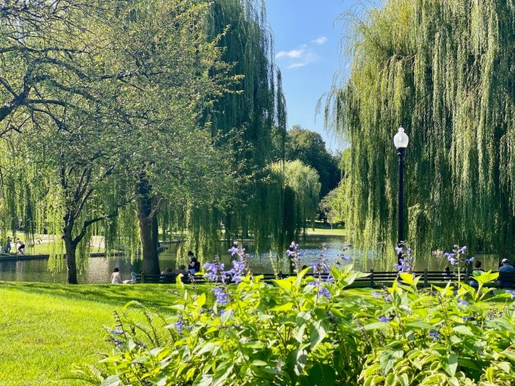 Freedom trail boston travel tips. Walking The Historic Freedom Trail In Boston