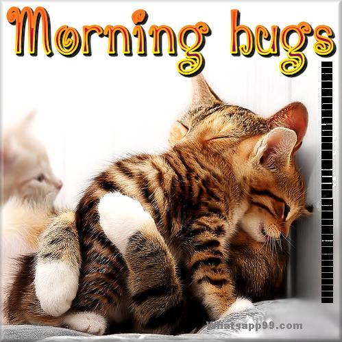 Executive coach susan cramm offers tips for winning back your estranged colleagues. 75+ Funny Good Morning Memes to Kickstart Your Day