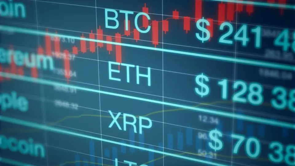 The crypto market is in the midst of a bear market, and it's been tough for many investors. U N7yjqjnt0ltm