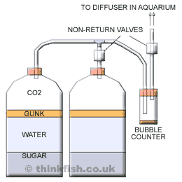 Diy Co2 Generator Ingredients