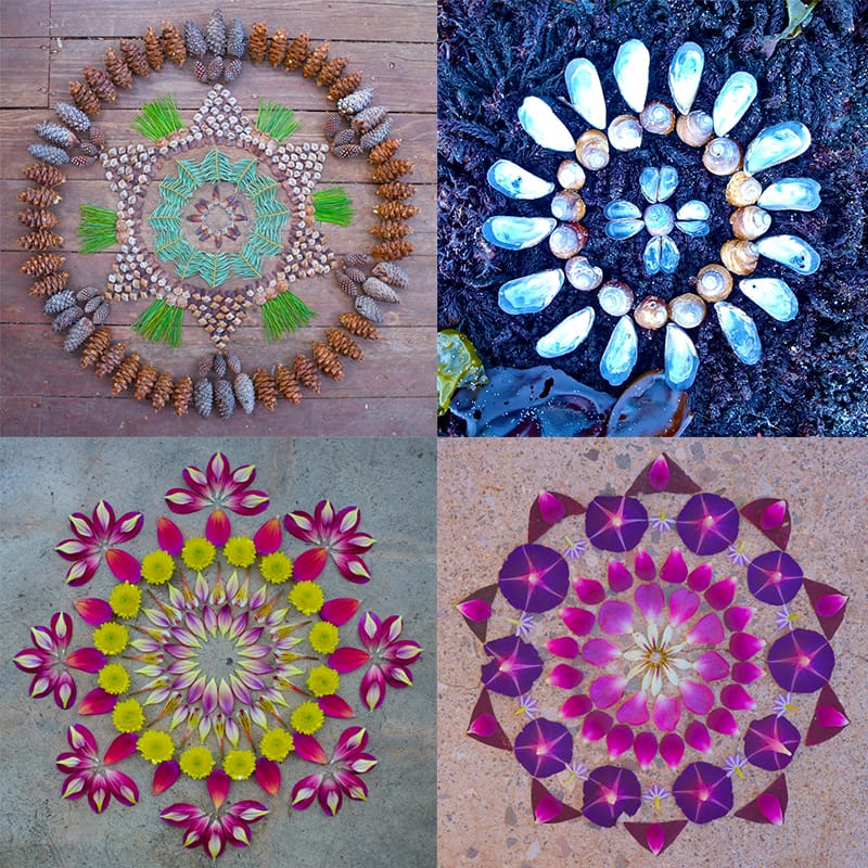 New Flower Mandalas By Kathy Klein Colossal