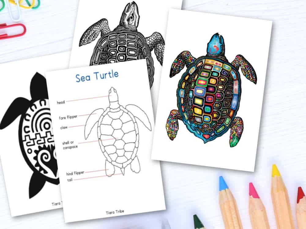 We prepared ten free turtle coloring pages for your kids. Sea Turtle Coloring Pages Tiara Tribe