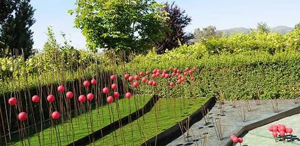 Veneto: Corso Gratuito Per Diventare Giardiniere Con Stage - Ticonsiglio