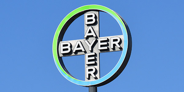 Bayer Lavora Con Noi: Posizioni Aperte E Come Candidarsi 300_x_600_jpg