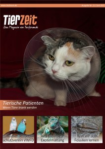 Cover Ausgabe 10 Farbe