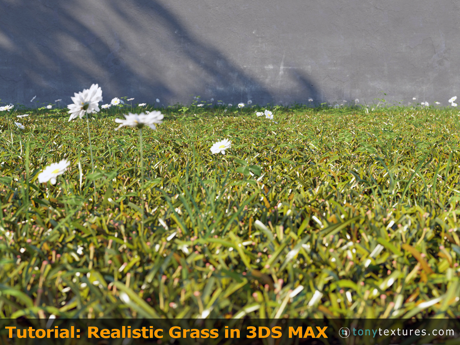 Tutorial How To Make And Render Super Realistic 3d Grass With 3ds Max
