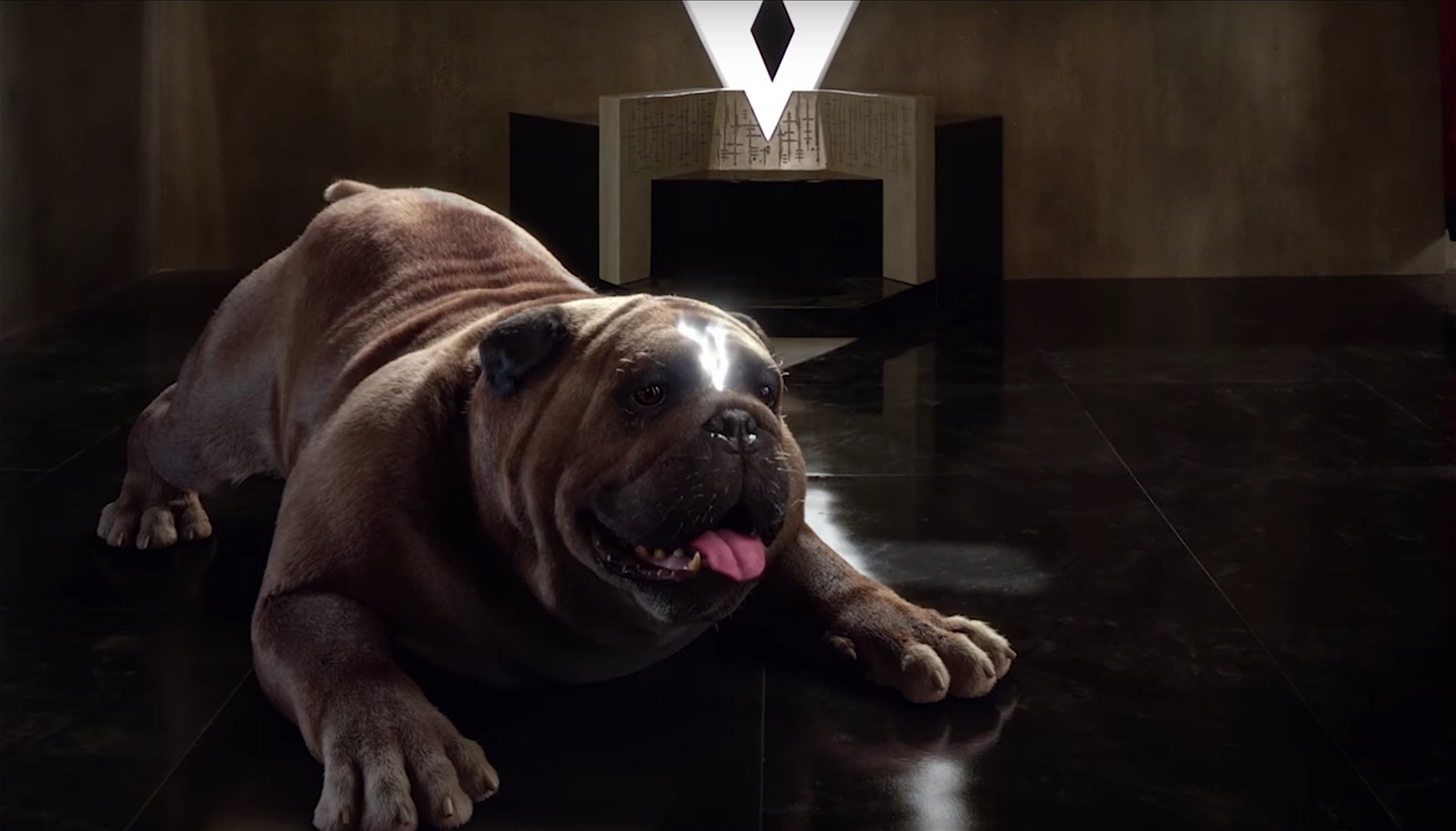 The First Trailer for Marvel’s Inhumans Includes the Teleporting Dog We