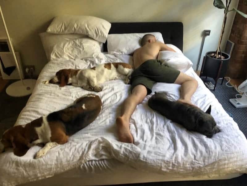 Russell Tovey is Back Together with Rugby Player Steve