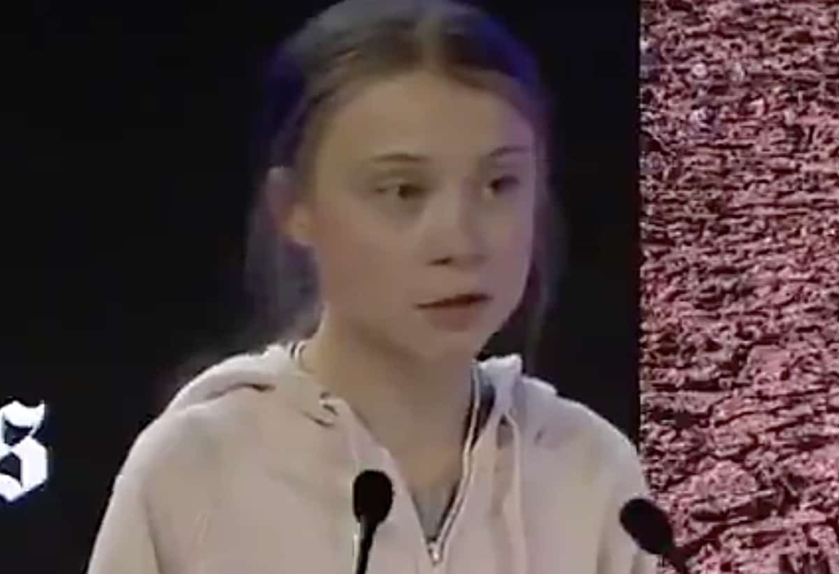 Greta Thunberg