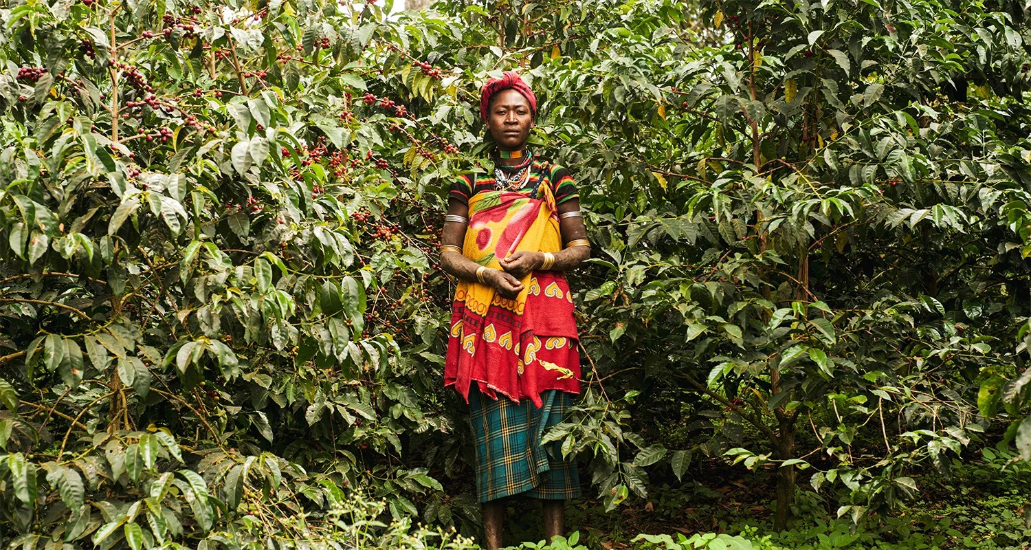 Coffee made for the ultimate outdoorsman. Coffee Importer In Service Of Specialty Coffee Roasters Trabocca