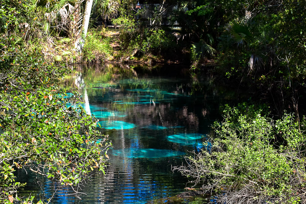Juniper Springs in Ocala National Forest The Adventures of Trail & Hitch