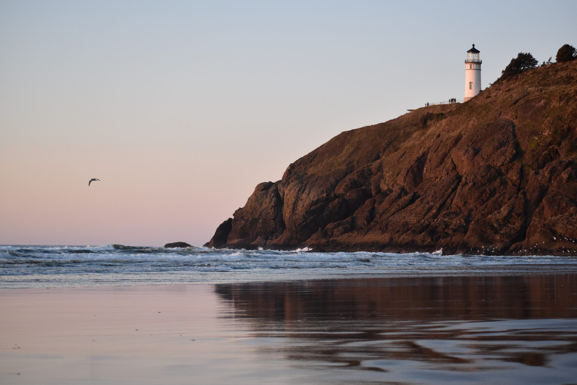 cape disappointment trails