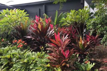 Good housekeeping's gardening advice can help you plan the perfect garden for every budget and plot size. Transforming Gardens Gold Coast Landscape Garden Design