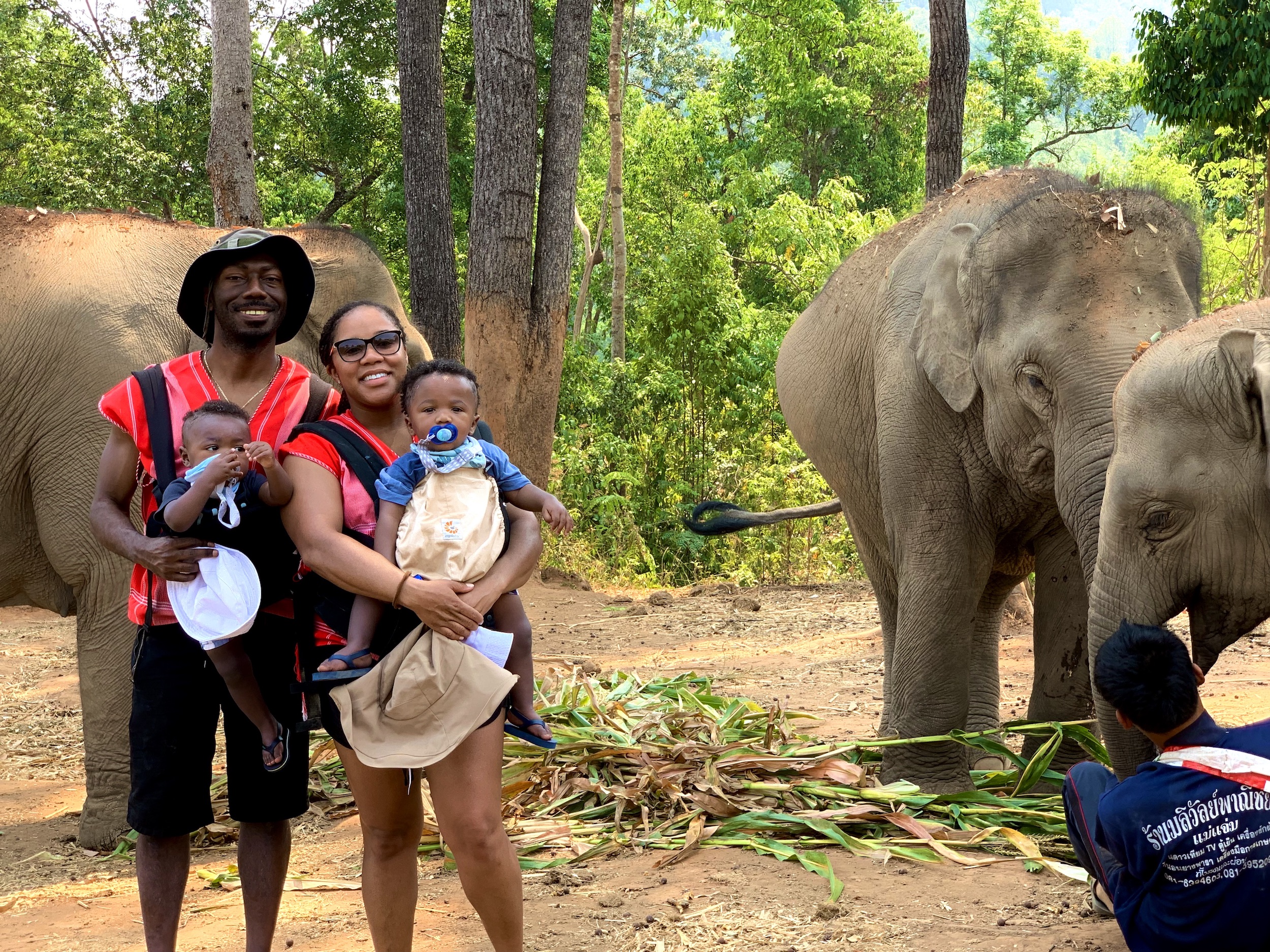 elephant-park-with-twins