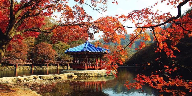 19 韓國紅葉 內藏山漢拿山伽耶山等8大山岳楓葉推薦 賞楓預測出爐