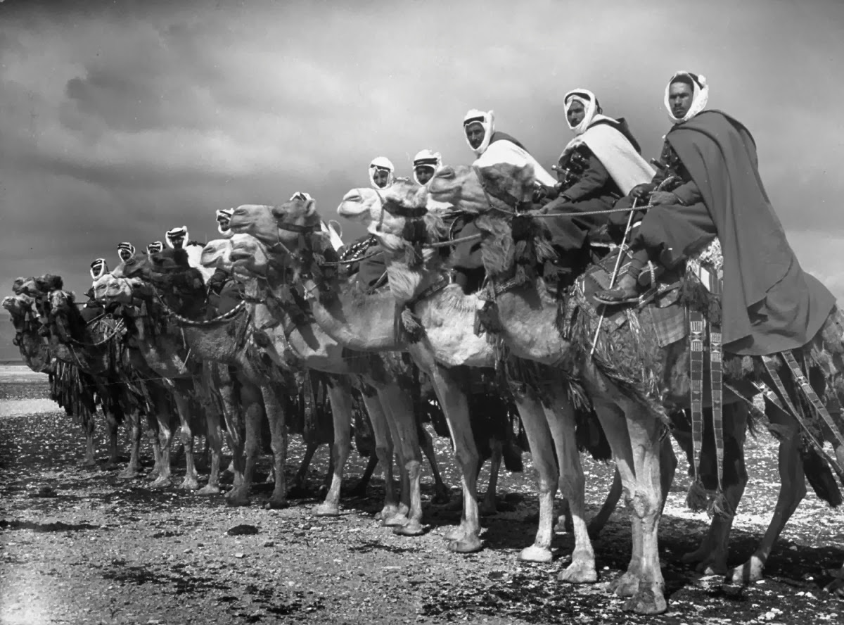 سردية الخيانة العربية.. قراءة في تصريحات أردوغان وتحوّل الوعي التاريخي للأتراك سردية الخيانة العربية.. قراءة في تصريحات أردوغان وتحوّل الوعي التاريخي للأتراك