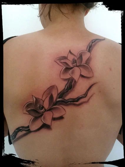 Ramo Magnolie - Tuttotattoo.com 567_x_425_jpg