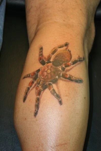 Ragno - Tuttotattoo.com 600_x_400_jpg