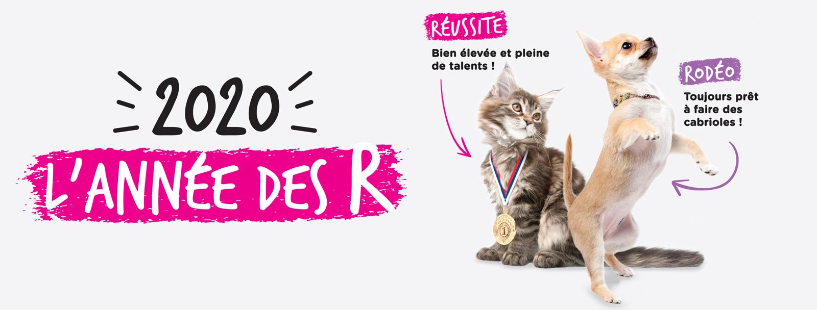 2020 est l'année des r : Trouvez Un Nom Pour Votre Animal Laboratoire Tvm