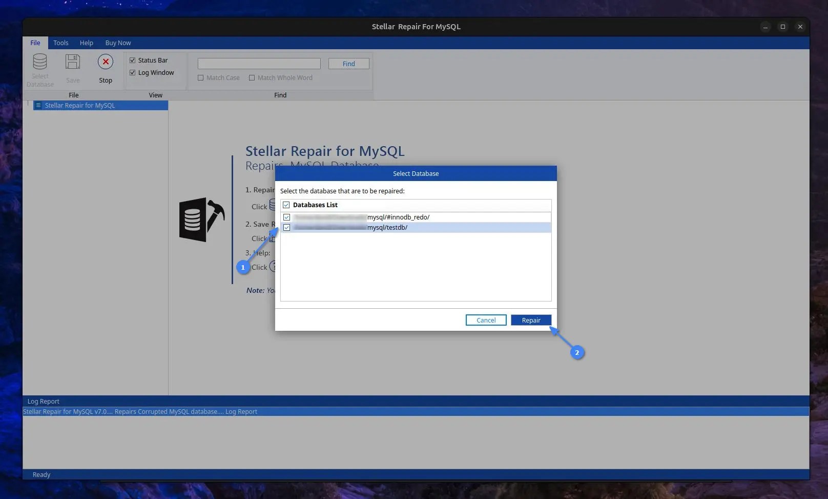 Select database to repair