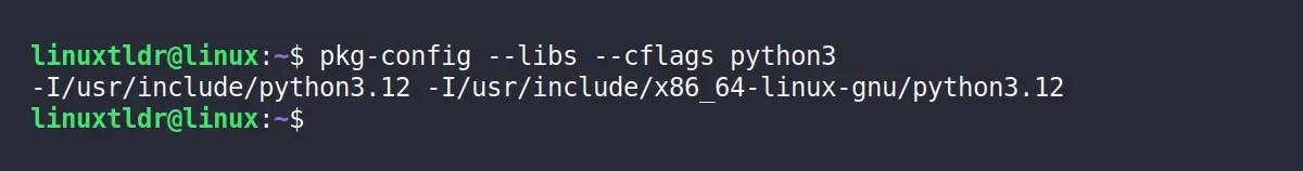 Checking compiler option for python3