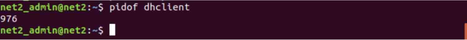 Linux Processes: A Beginner’s Guide To Understanding &Amp; Management 2 Pidof dhclient command output