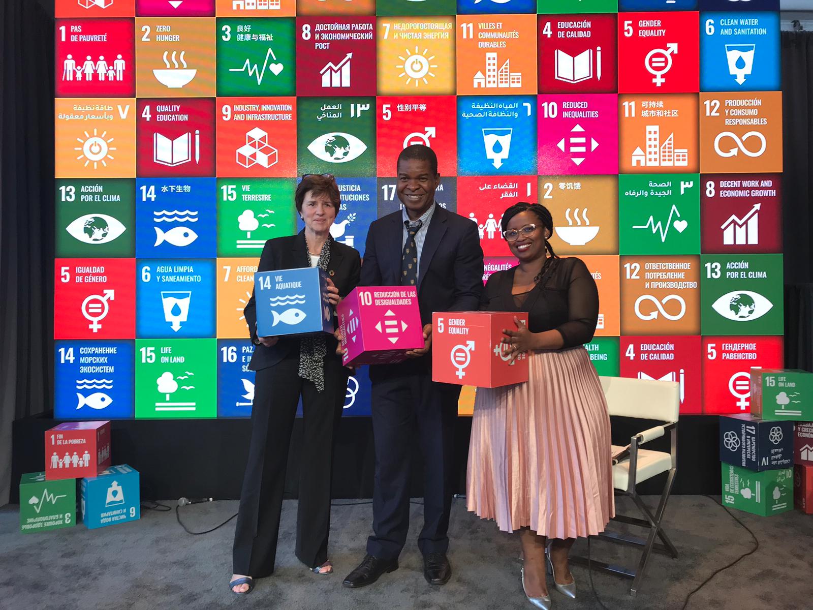 image United Nations Sustainable Development