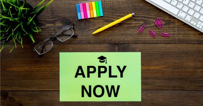 How To Apply to Multiple Colleges At Once - University Magazine