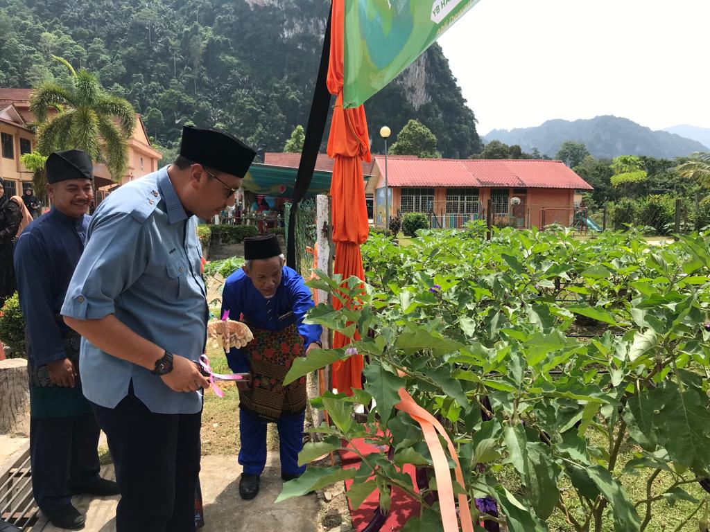 Kebanyakkan penggemar rambutan menanam pokok rambutan jarum emas di tepian rumah kerana. Kebun Sayur Buah Buahan Dalam Sekolah Utusan Malaysia
