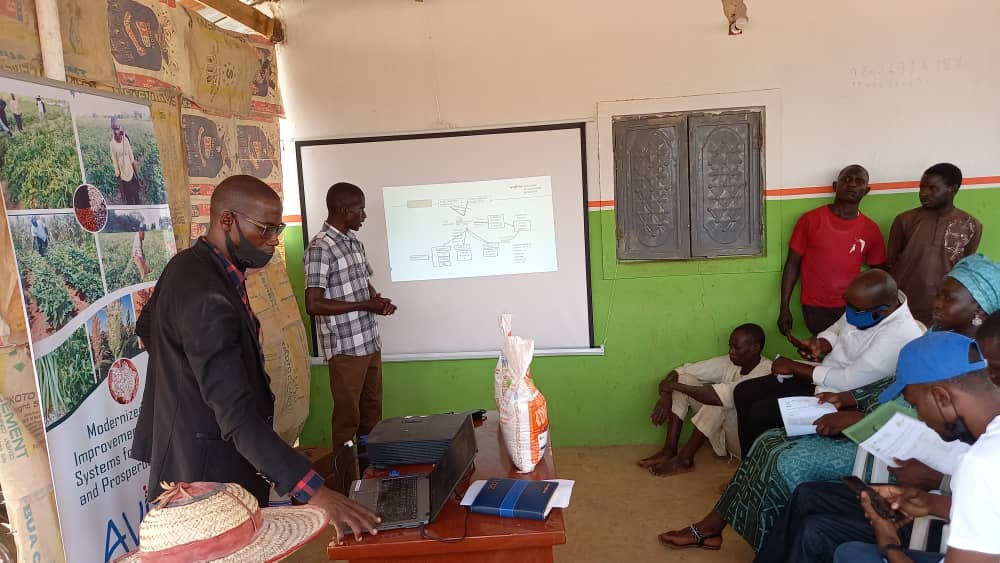 Syngenta Foundation Nigeria empowers Kano, Jigawa farmers with N10m inputs - Vimarsana News