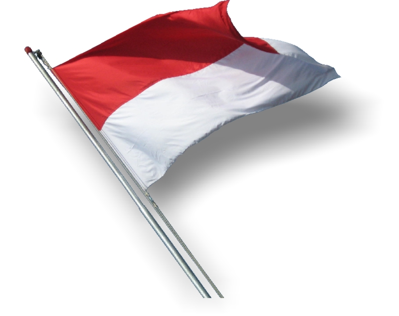 Bendera indonesia merah putih flag vector, bendera, flag, indonesia png and vector. Top 5 Reasons To Learn Bahasa Indonesia