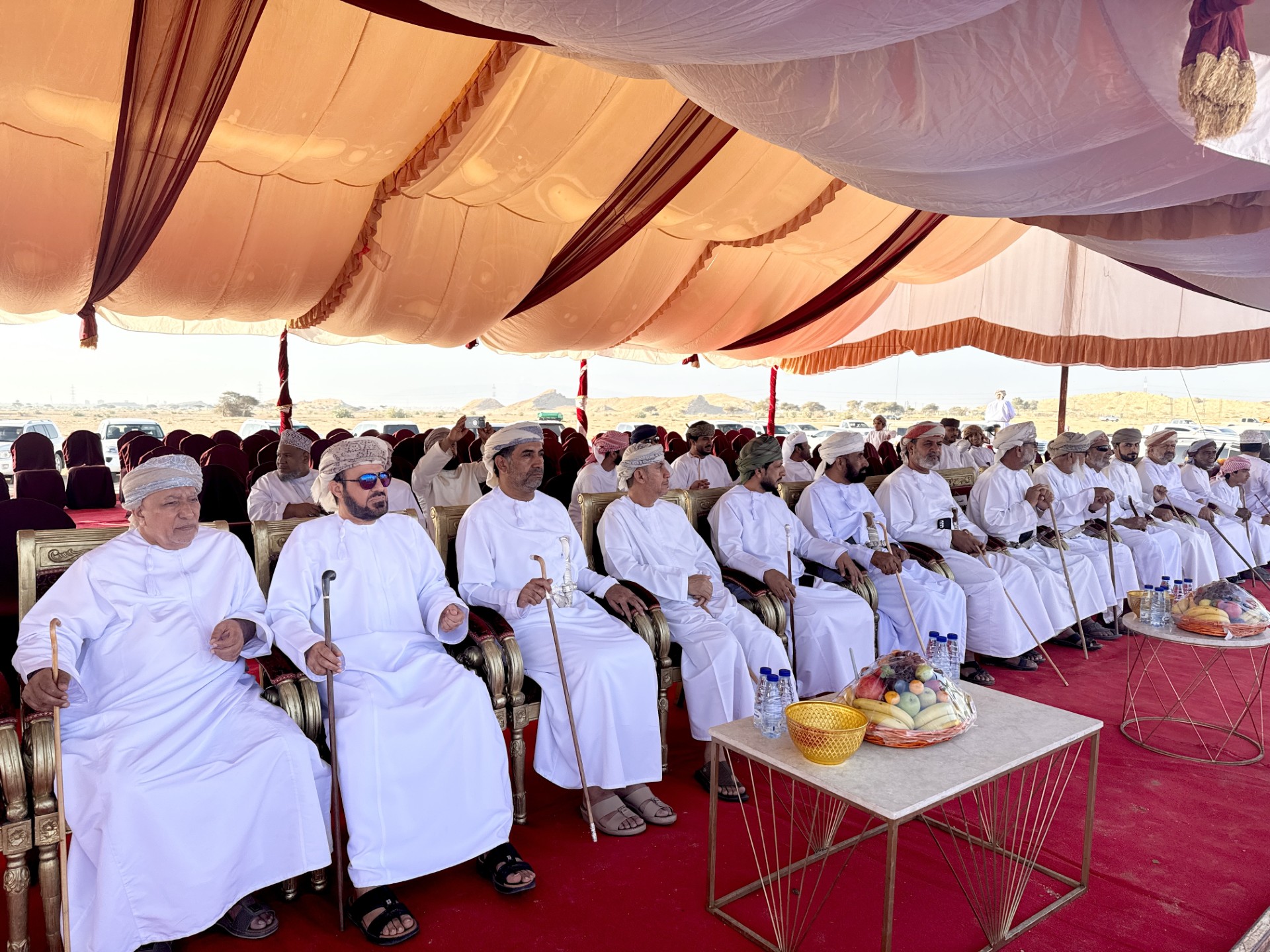 بمشاركة أكثر من 150 ناقة.. انطلاق فعاليات عرضة الهجن بالبريمي بمشاركة أكثر من 150 ناقة.. انطلاق فعاليات عرضة الهجن بالبريمي