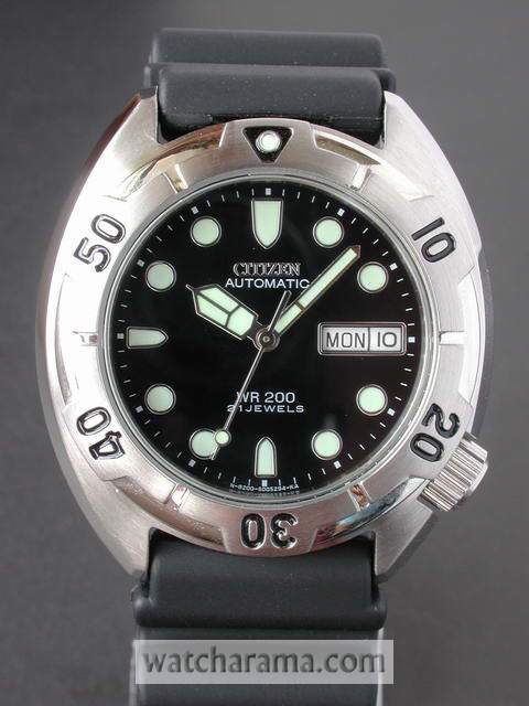 citizen dolphin diver